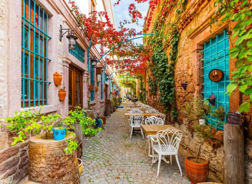 Balıkesir Çince Tercümanlık Cunda Adası