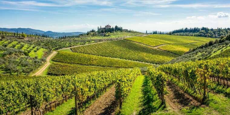 Tekirdağ Çince Türkçe Tercüman