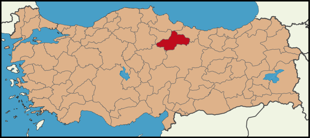 Tokatda Çince Tercümanlık