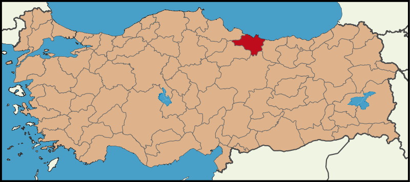 Orduda Çince Tercümanlık