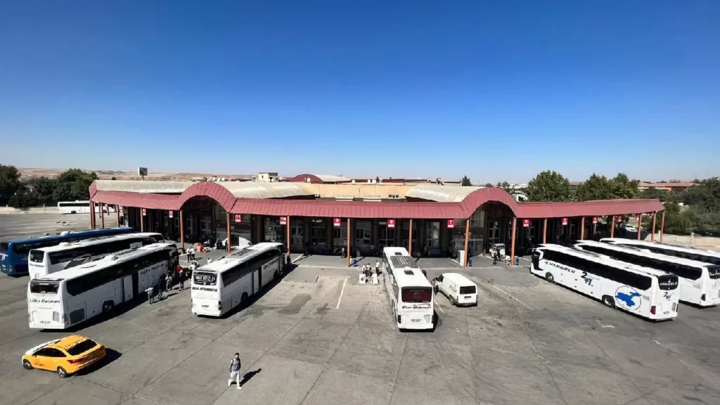 Batman Çince Tercümanlık