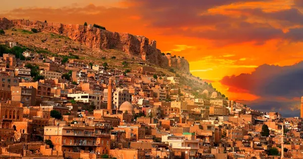 Mardin Çince Tercümanlık