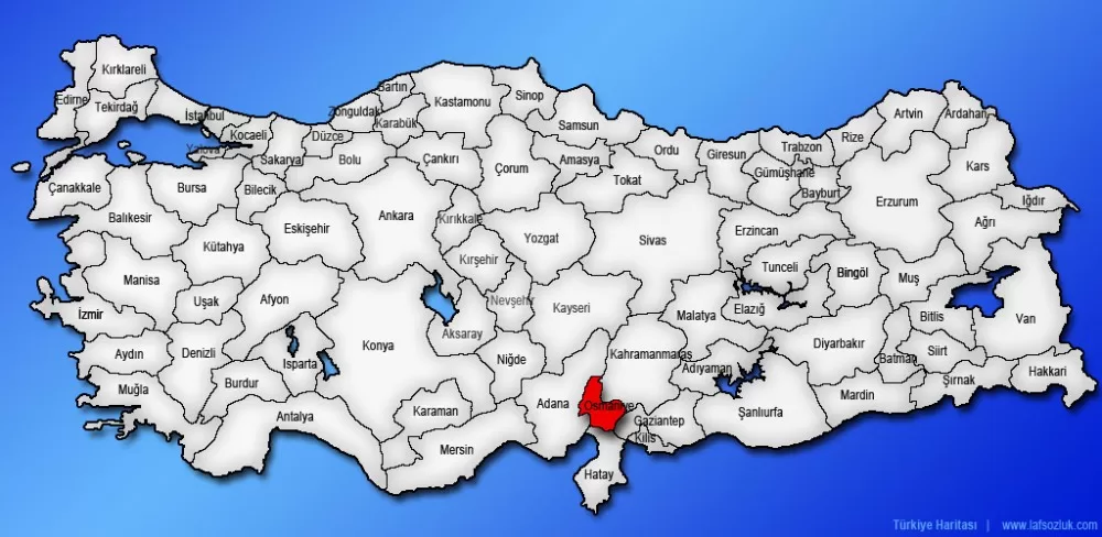 Osmaniyede Çince Tercümanlık