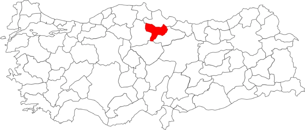 Amasya Çince Tercüman