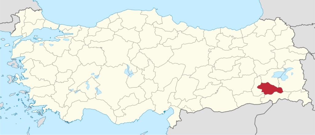 Siirt Çince Tercüman
