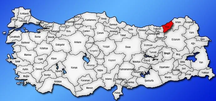 Rize Çince Tercüman