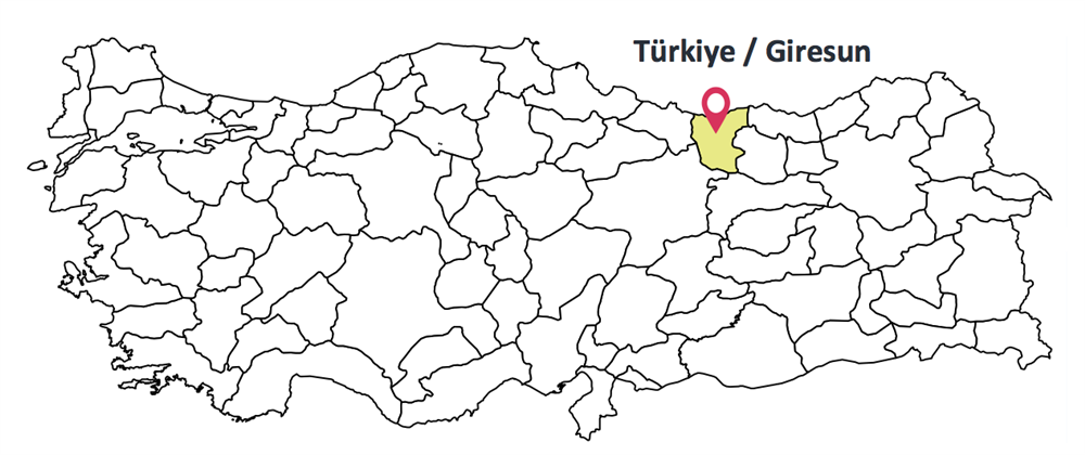 Giresun Çince Tercüman