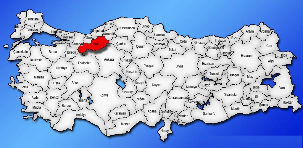 Bolu Çince Tercüman