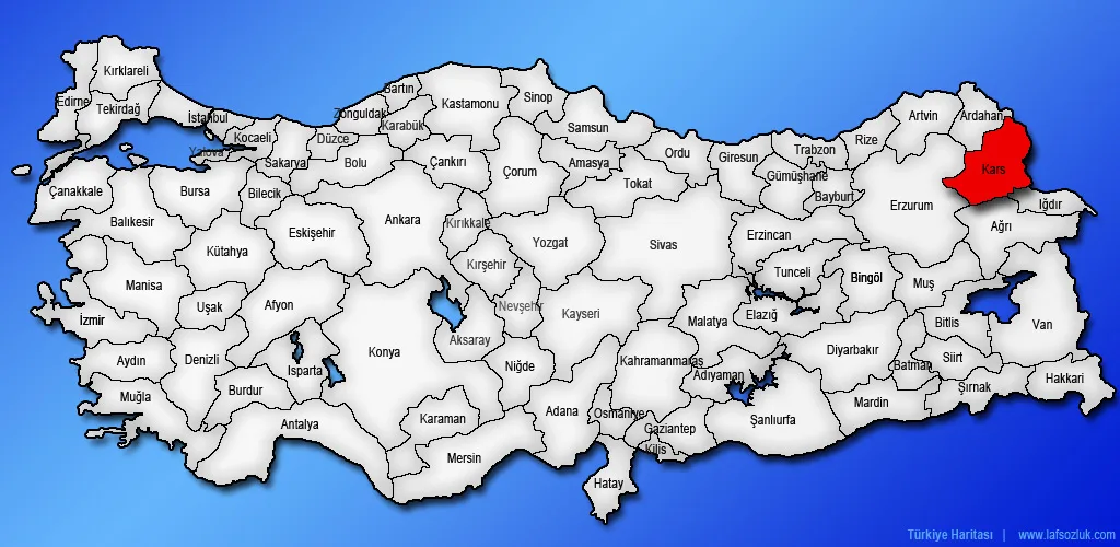 Kars Çince Tercüman